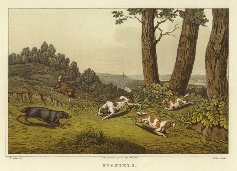 İspanyollar (kromolitho) by Henry Thomas Alken