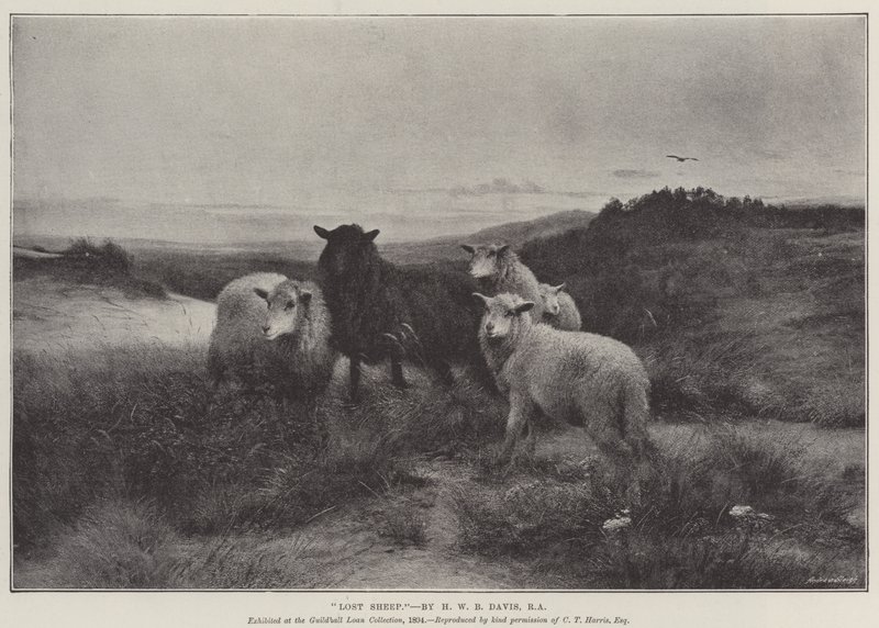 kayıp koyun by Henry William Banks Davis
