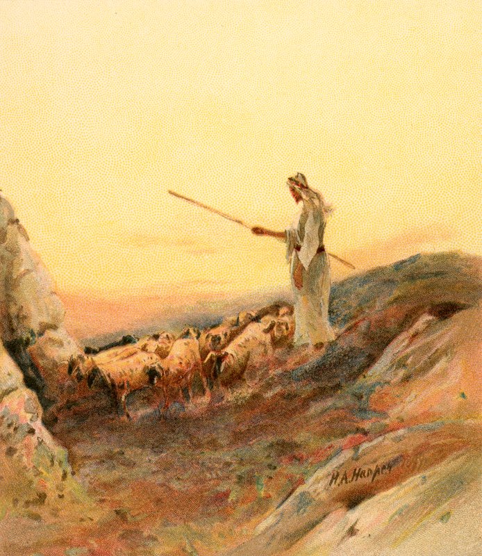Koyunlarını sayan bir çoban by Henry Andrew Harper