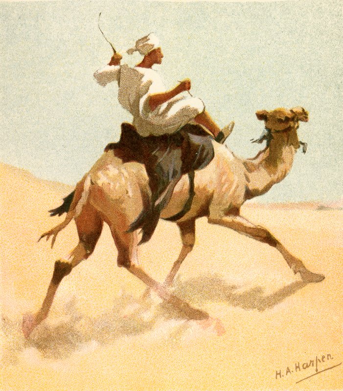 Arap Postacı by Henry Andrew Harper