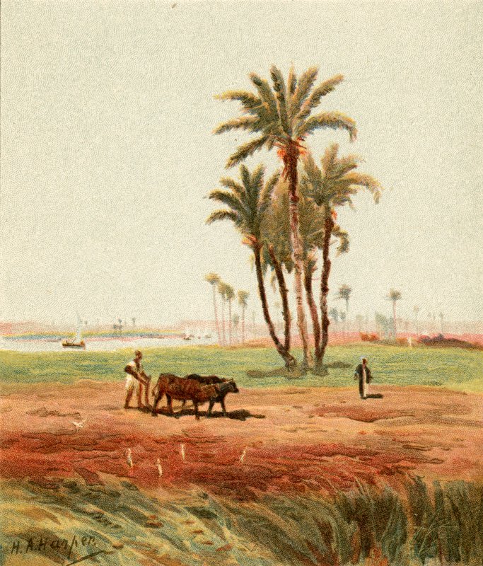 Alan içerisinde by Henry Andrew Harper