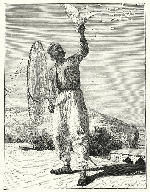 Doğu