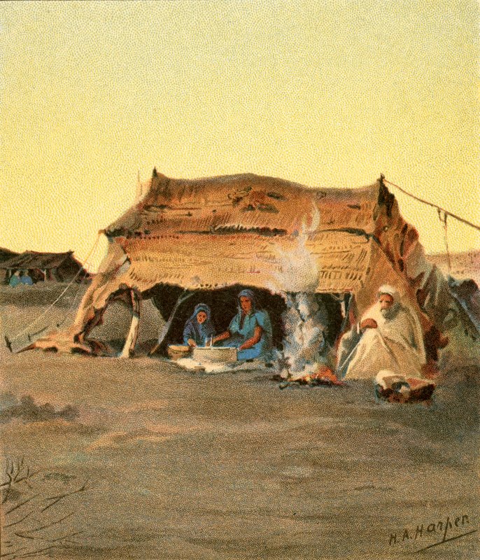 Çadır ömrü by Henry Andrew Harper