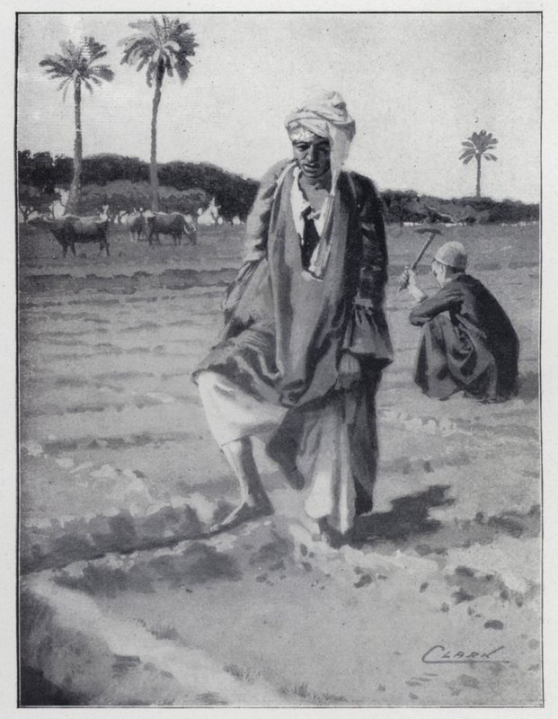 Gizeh, Mısır