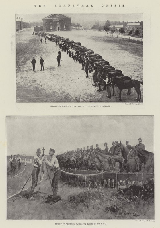 Transvaal Krizi by Henry Charles Seppings Wright