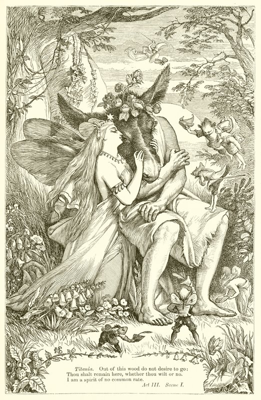 Ekici benzetmesi (Nisan veya Eylül) türkçe by Henry Courtney Selous
