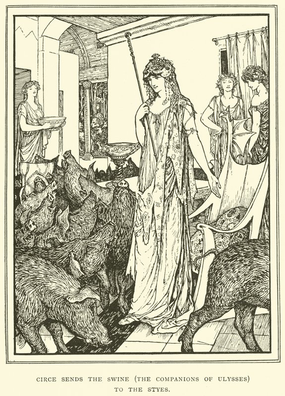 Circe, Domuzu (Ulysses