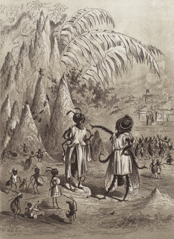 Ezop Masalları: Karınca ve Sinek (lito) by Henry Louis Stephens