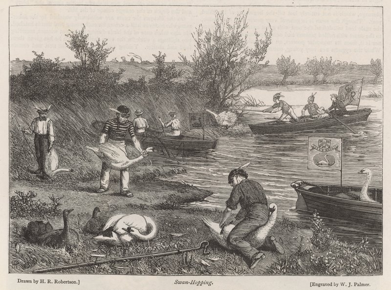 Kuğu atlamalı by Henry Robert Robertson