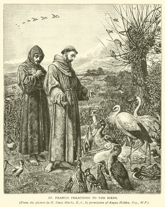 Aziz Francis kuşlara vaaz veriyor by Henry Stacey Marks