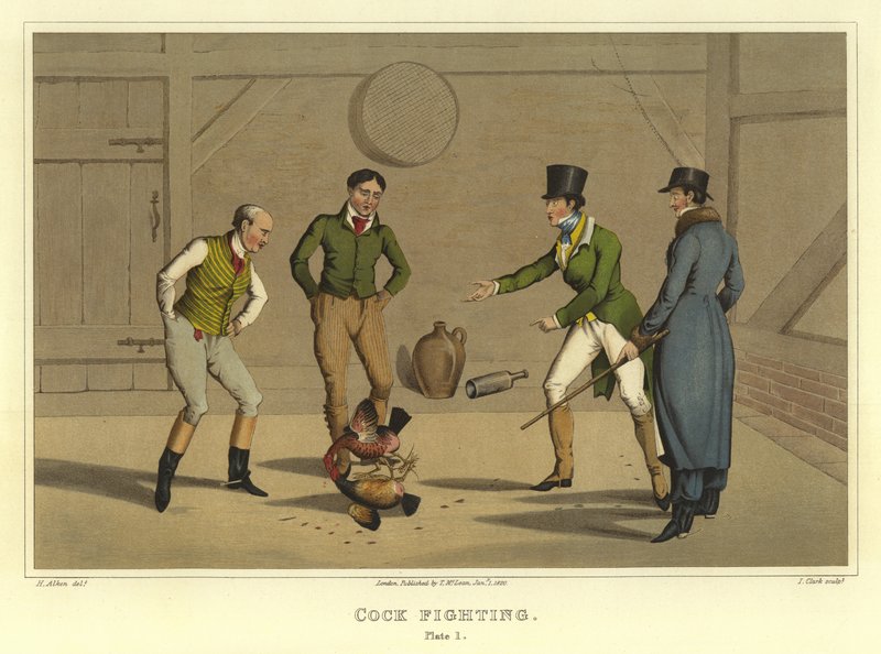 Horoz Dövüşü (chromolitho) by Henry Thomas Alken