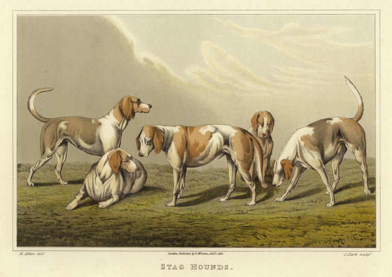 Geyik Av Köpekleri (kromolitho) by Henry Thomas Alken