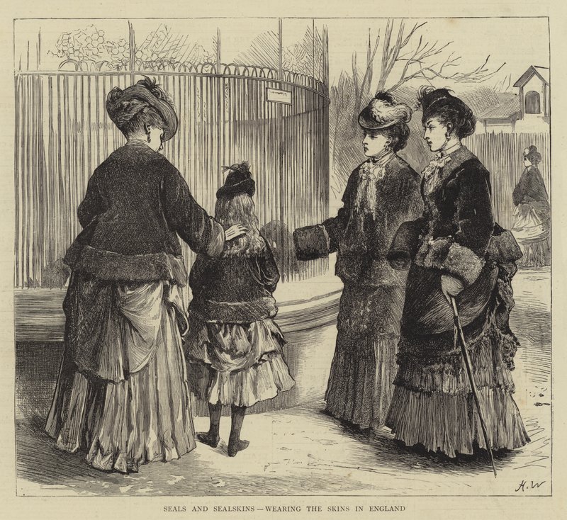 Mühürler ve Mühür Derileri, İngiltere'de Derileri giyiyor by Henry Woods