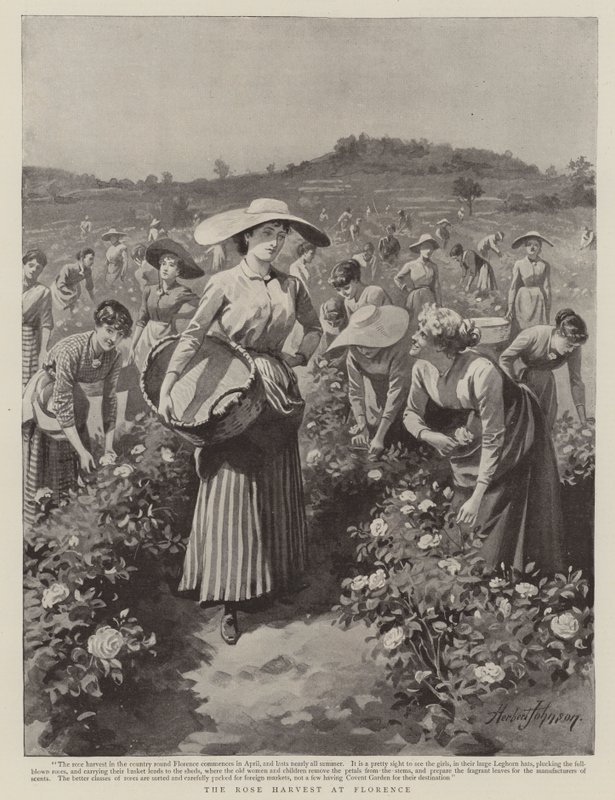 Floransa