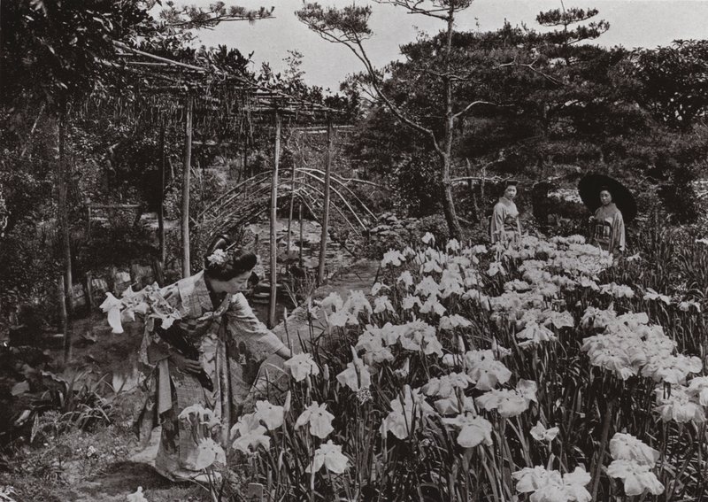 Hori-kiri