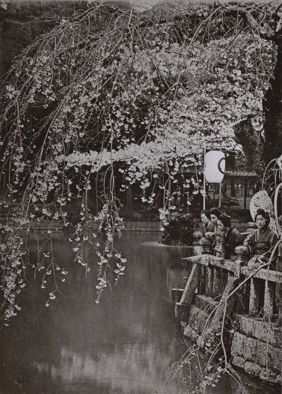 Japonya