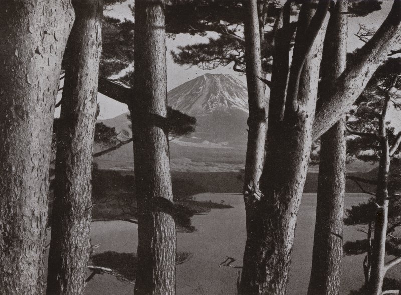 Çam Ağaçlarının arasından Fuji (s/b fotoğraf) by Herbert Ponting