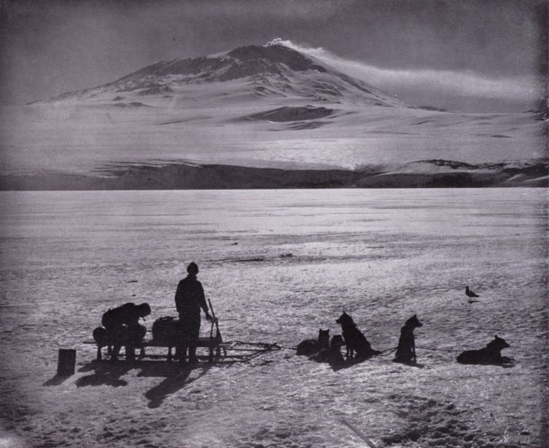 Arka planda Erebus Dağı olan kızak ve köpekler (s/b fotoğraf) by Herbert Ponting