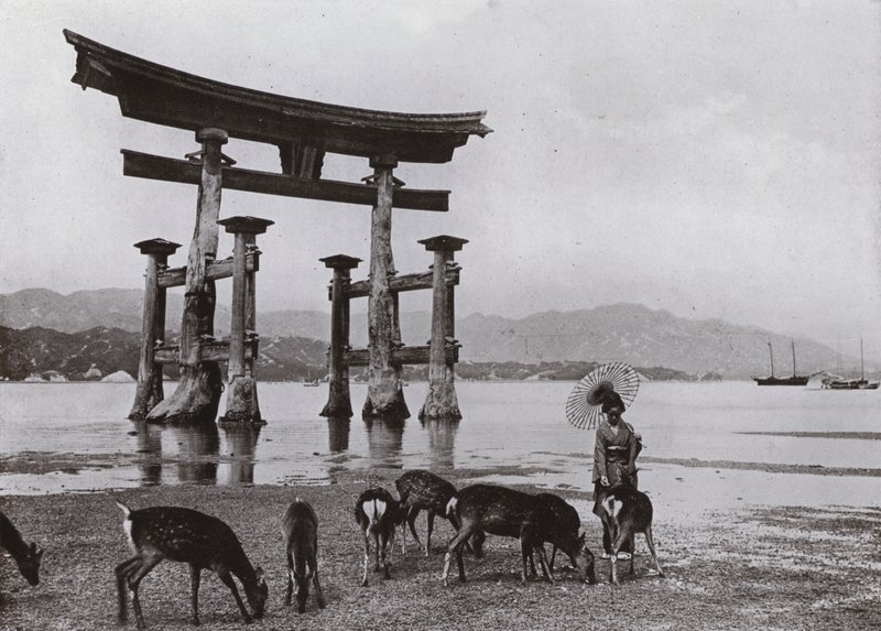 Miyajima