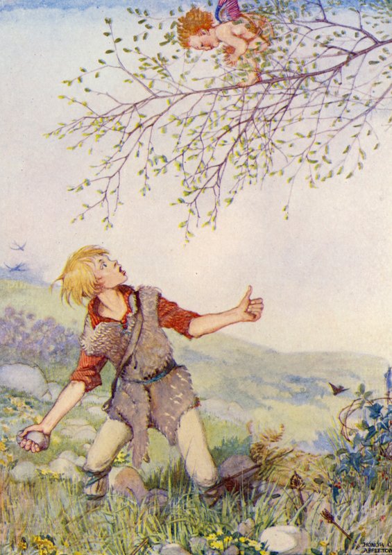  by Honor Charlotte Appleton