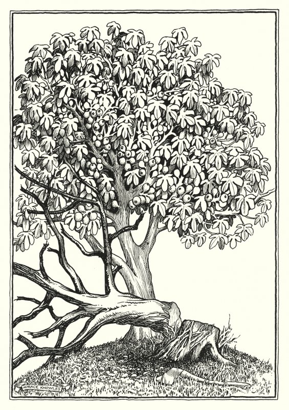  by Horace J. Knowles