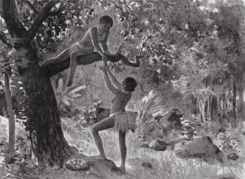  by Horace van Ruith