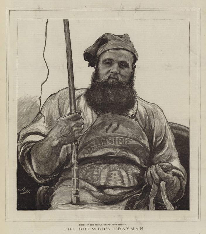 Brewer