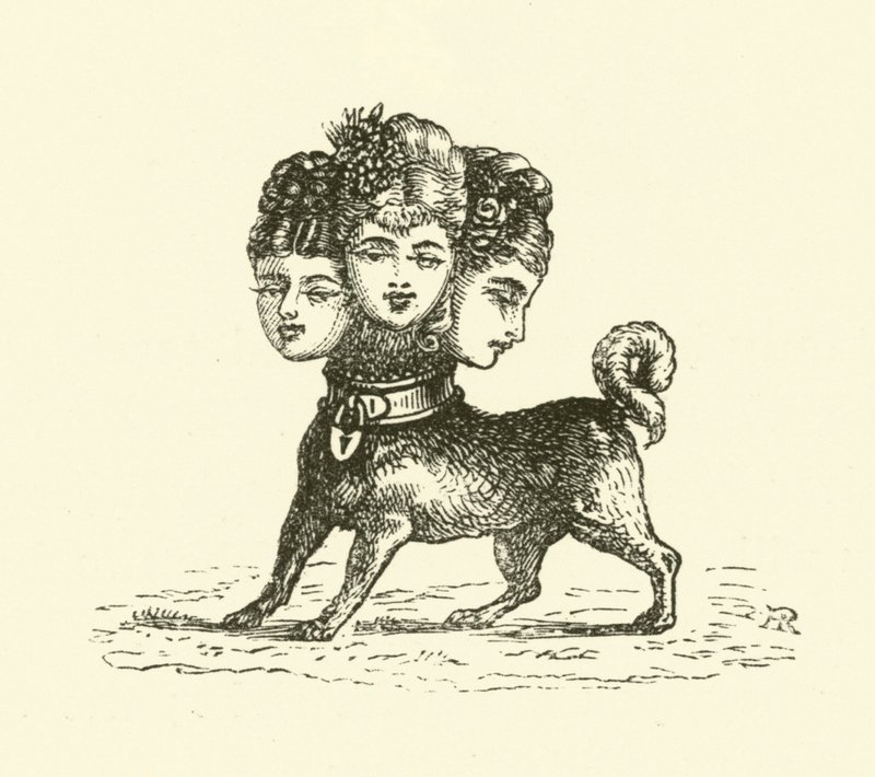 Dişi Cerberus (gravür) by Hugh Rowley