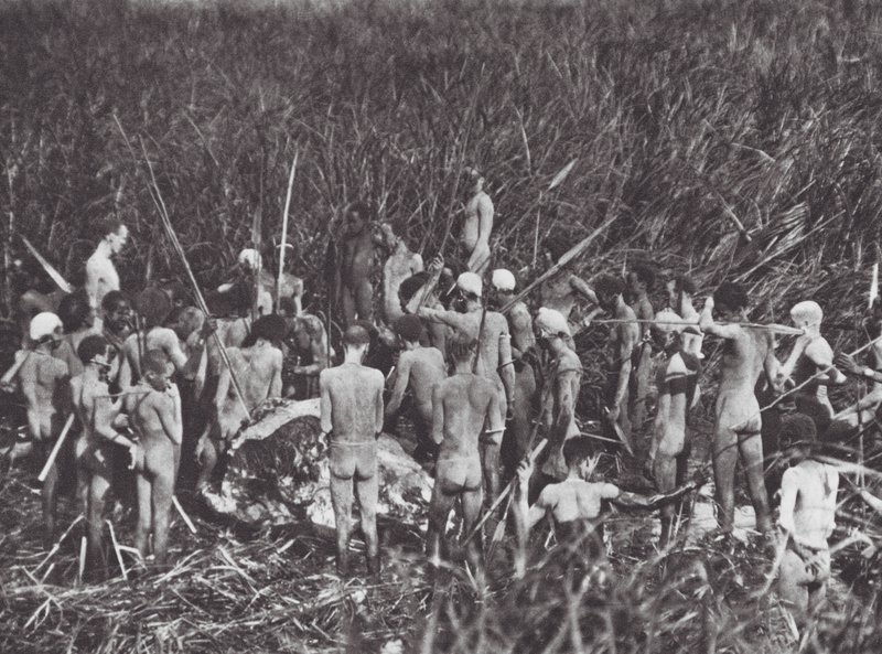  by Hugo Adolf Bernatzik