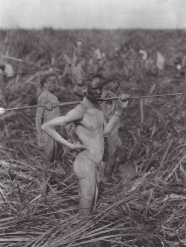  by Hugo Adolf Bernatzik