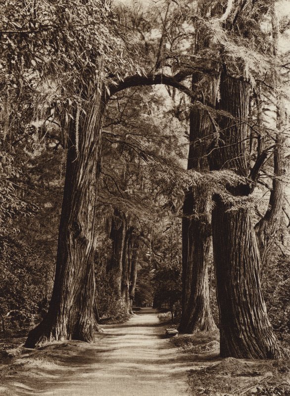  by Hugo Brehme