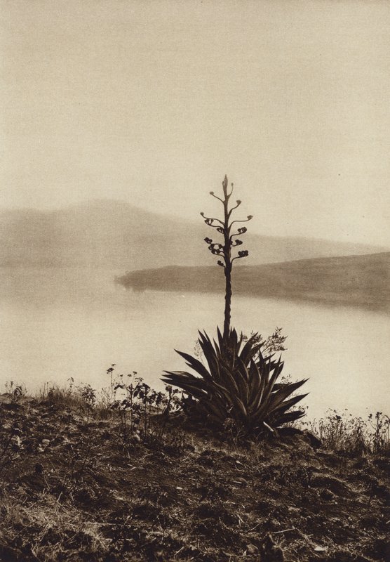  by Hugo Brehme