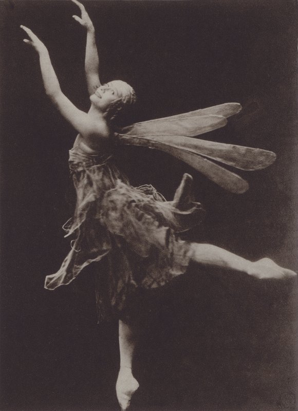 Dragon Fly'daki Pavlova by Ira L. Hill