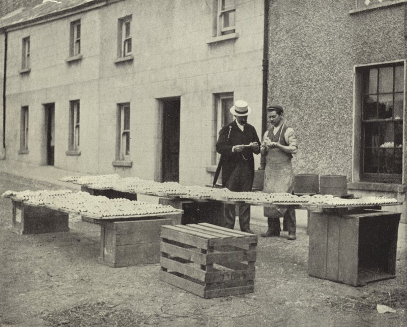 Kil Boru Yapımı, Drogheda (s/b fotoğraf) by Irish Photographer