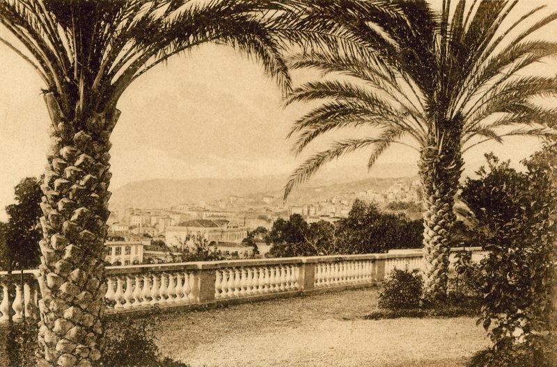 San Remo, Fra le Palme (s/b fotoğraf) by Italian Photographer