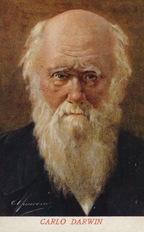 Charles Darwin (1809-1882), İngiliz doğa bilimci (renkli taşbaskı) by Italian School