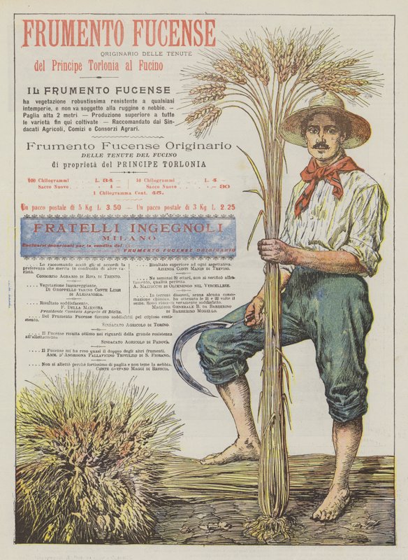 fucense buğday by Italian School