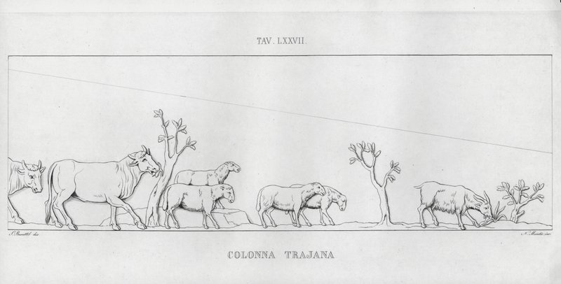 La Colonna Trajana, Trajan Sütunu (gravür) by Italian School