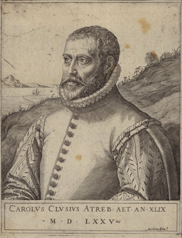 Carolus Clusius