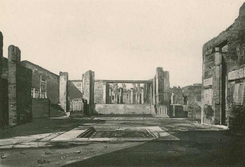Cassia Evi