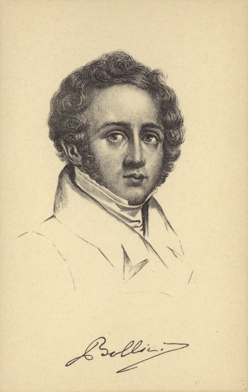 Vincenzo Bellini, İtalyan opera bestecisi (1801-1835) by Italian School