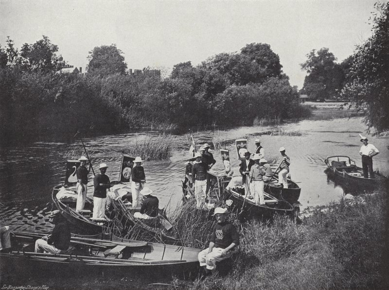 Kuğu Thames