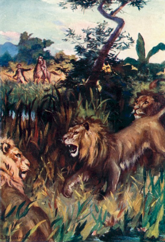 Mungo Park, Sık görülen bir tehlike by J. Williamson