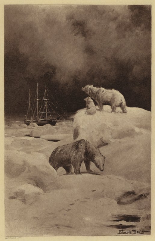 Arktik Bölgelerde Armut (lito) by J. (after) Steeple Davis