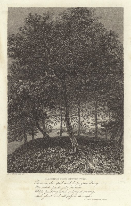 Robert Bloomfield, şair: Euston Park
