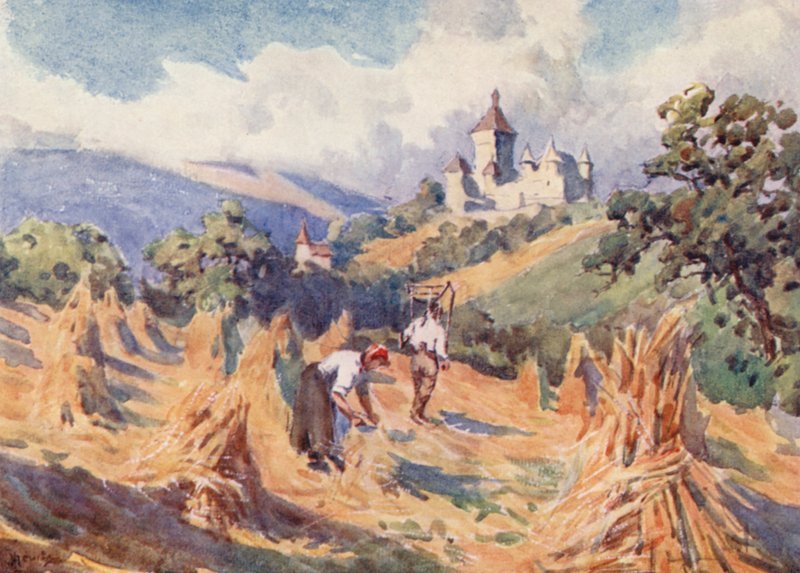  by J. Hardwicke Lewis