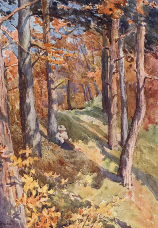  by J. Hardwicke Lewis