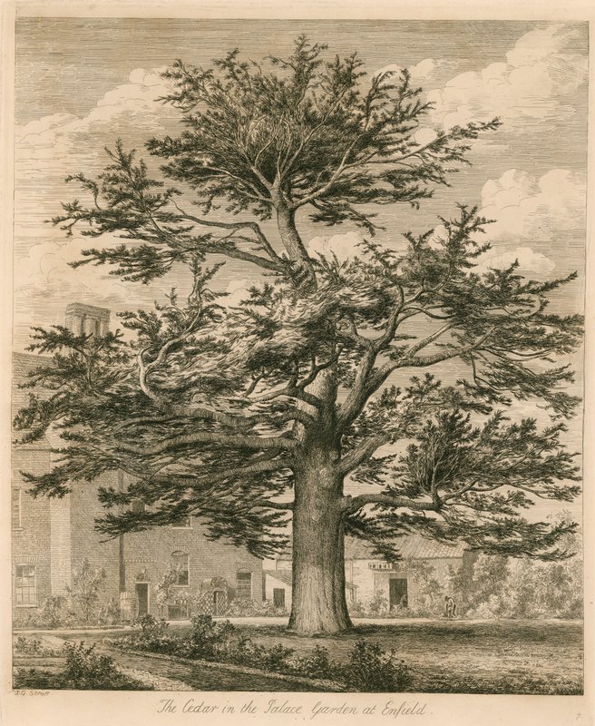 Enfield, Middlesex