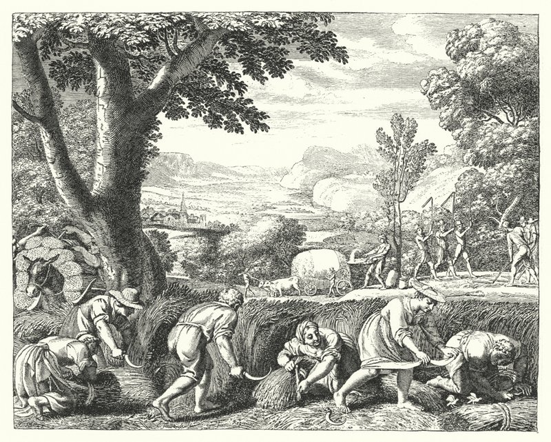Hasat sahnesi (gravür) by Jacques Stella