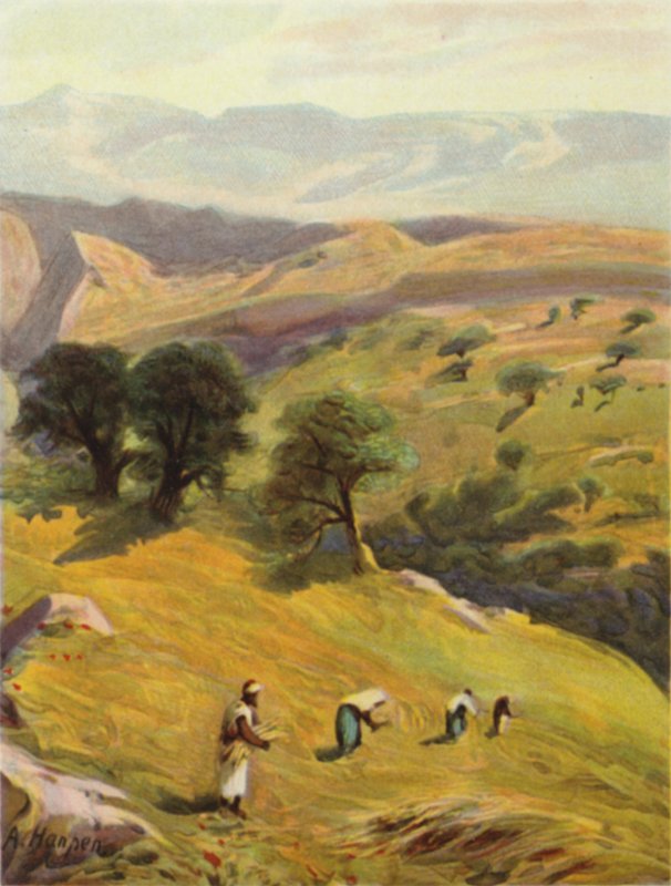 Kudüs ve Jericho arasında (renkli taş) by James (after) Clark